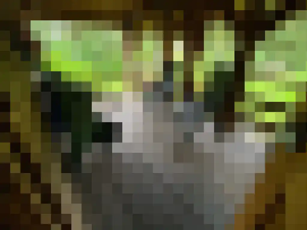 Kopstukken 12 Mussel thumbnail 91