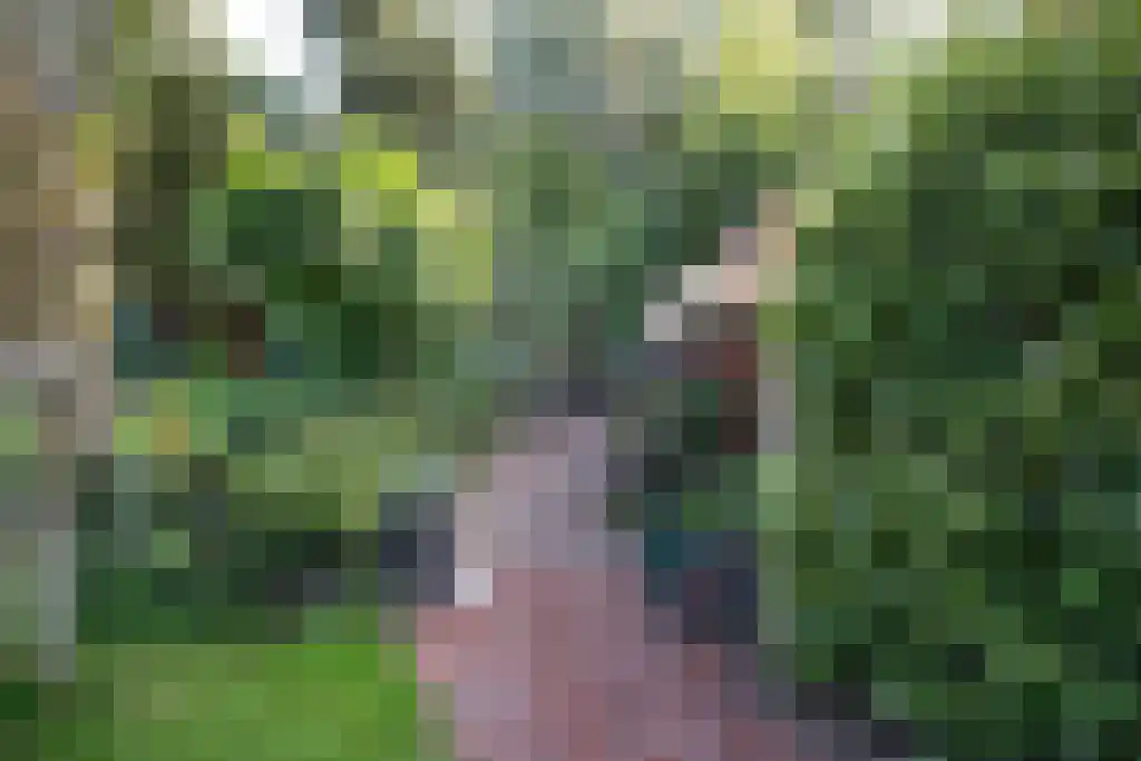 Kopstukken 12 Mussel thumbnail 93