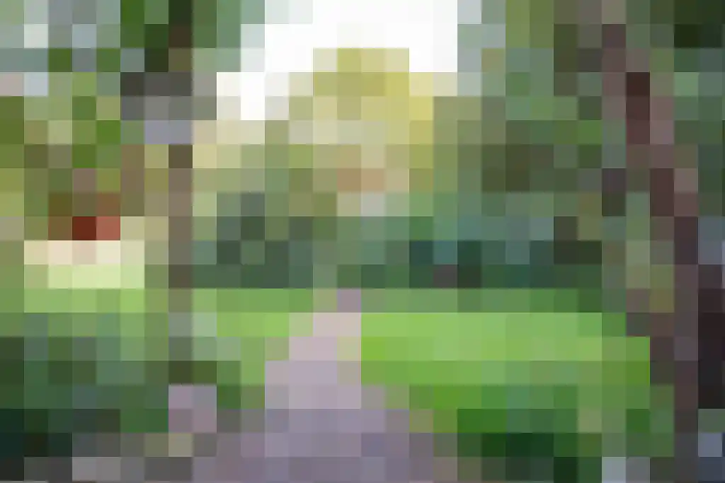 Kopstukken 12 Mussel thumbnail 94