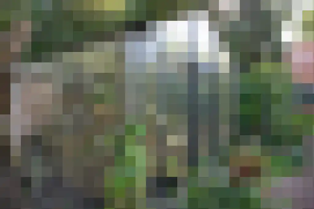Kopstukken 12 Mussel thumbnail 96