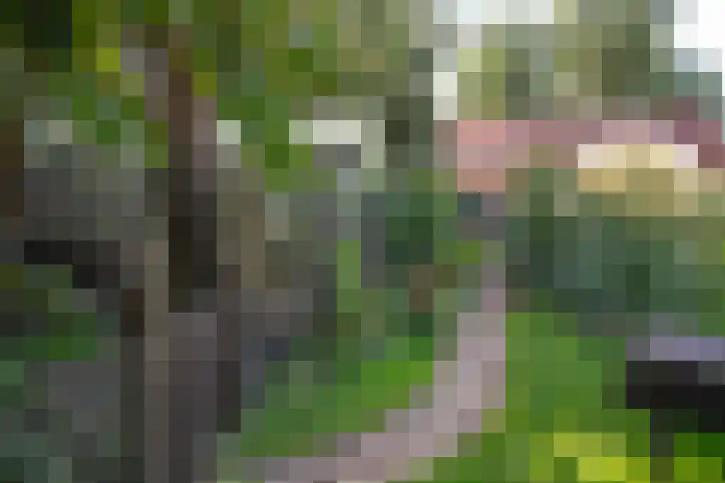 Kopstukken 12 Mussel thumbnail 98