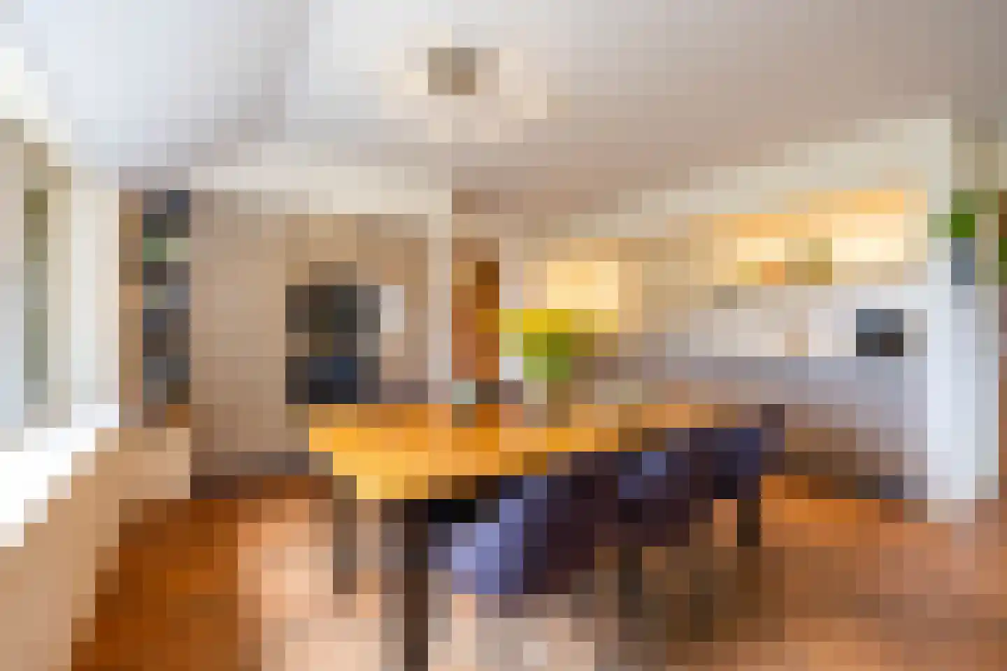 Kopstukken 56 Mussel thumbnail 12