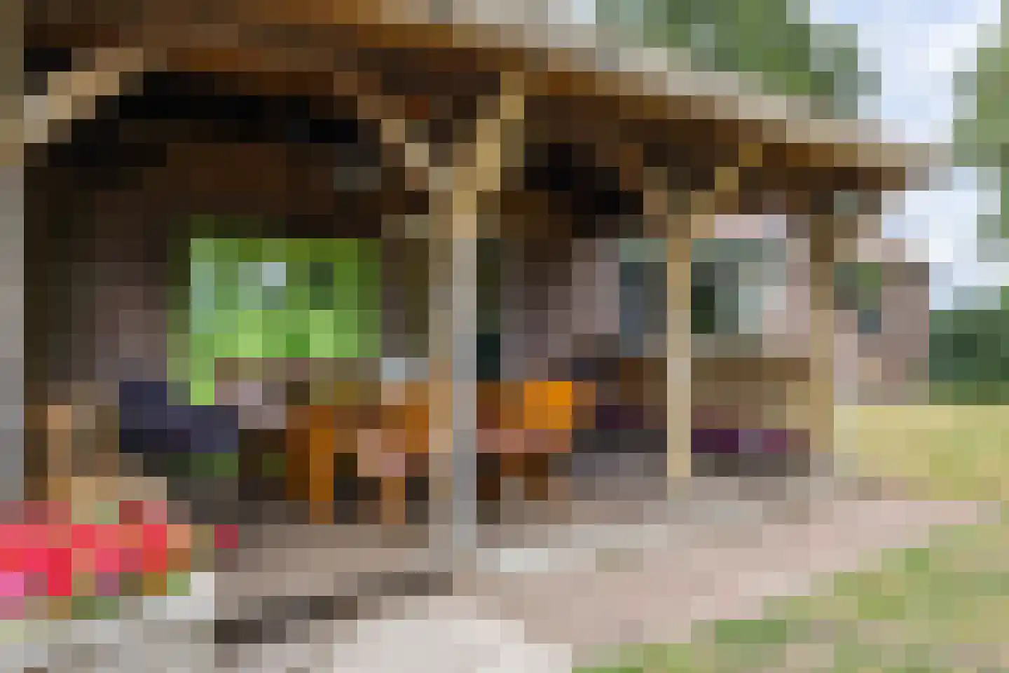 Kopstukken 56 Mussel thumbnail 24