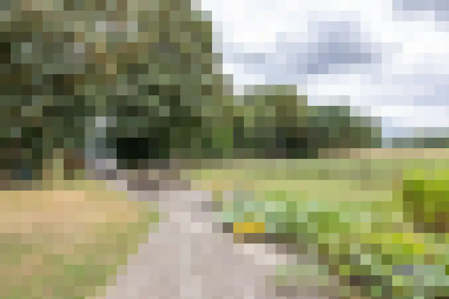 Kopstukken 56 Mussel thumbnail 25