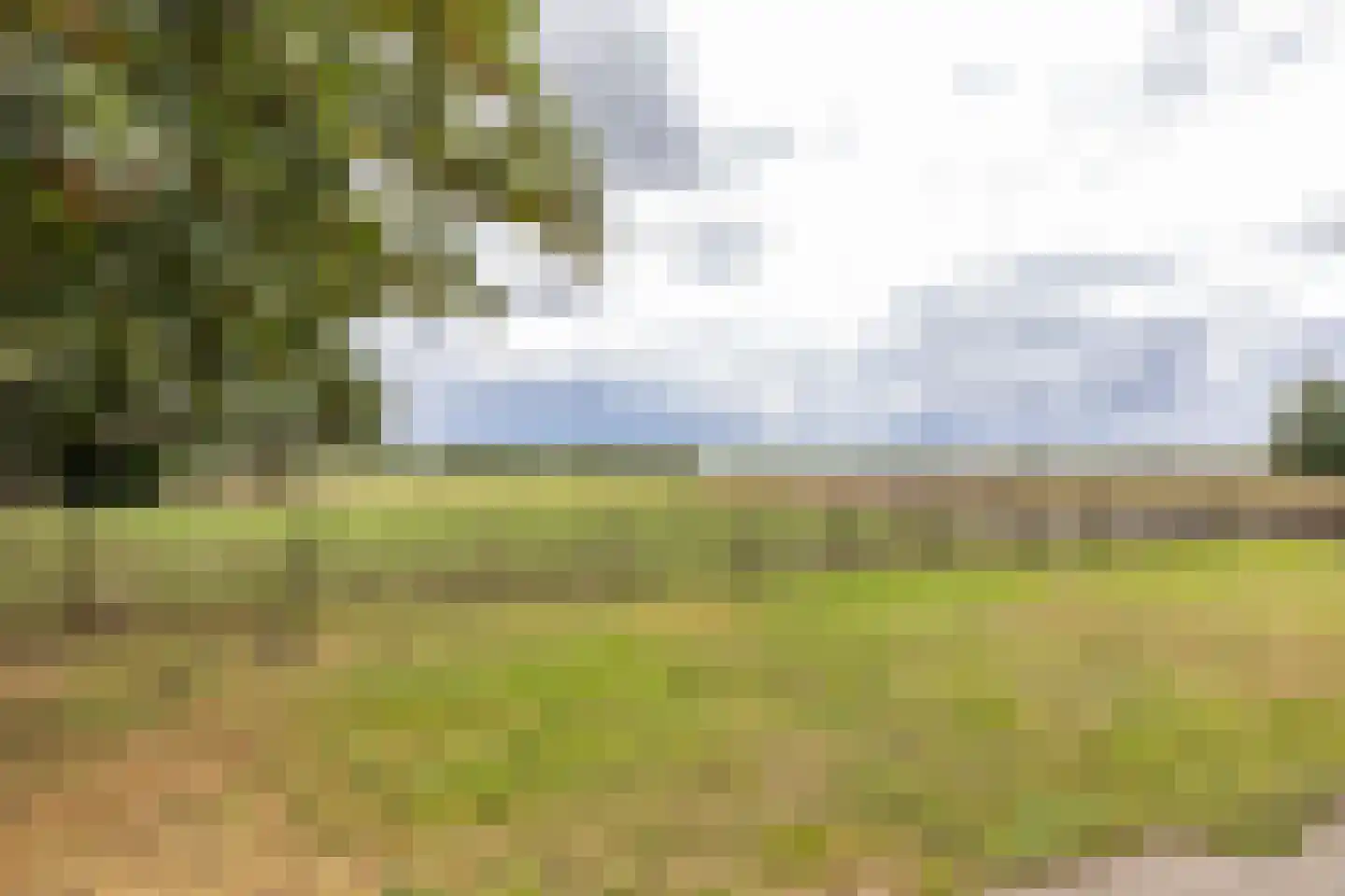 Kopstukken 56 Mussel thumbnail 27