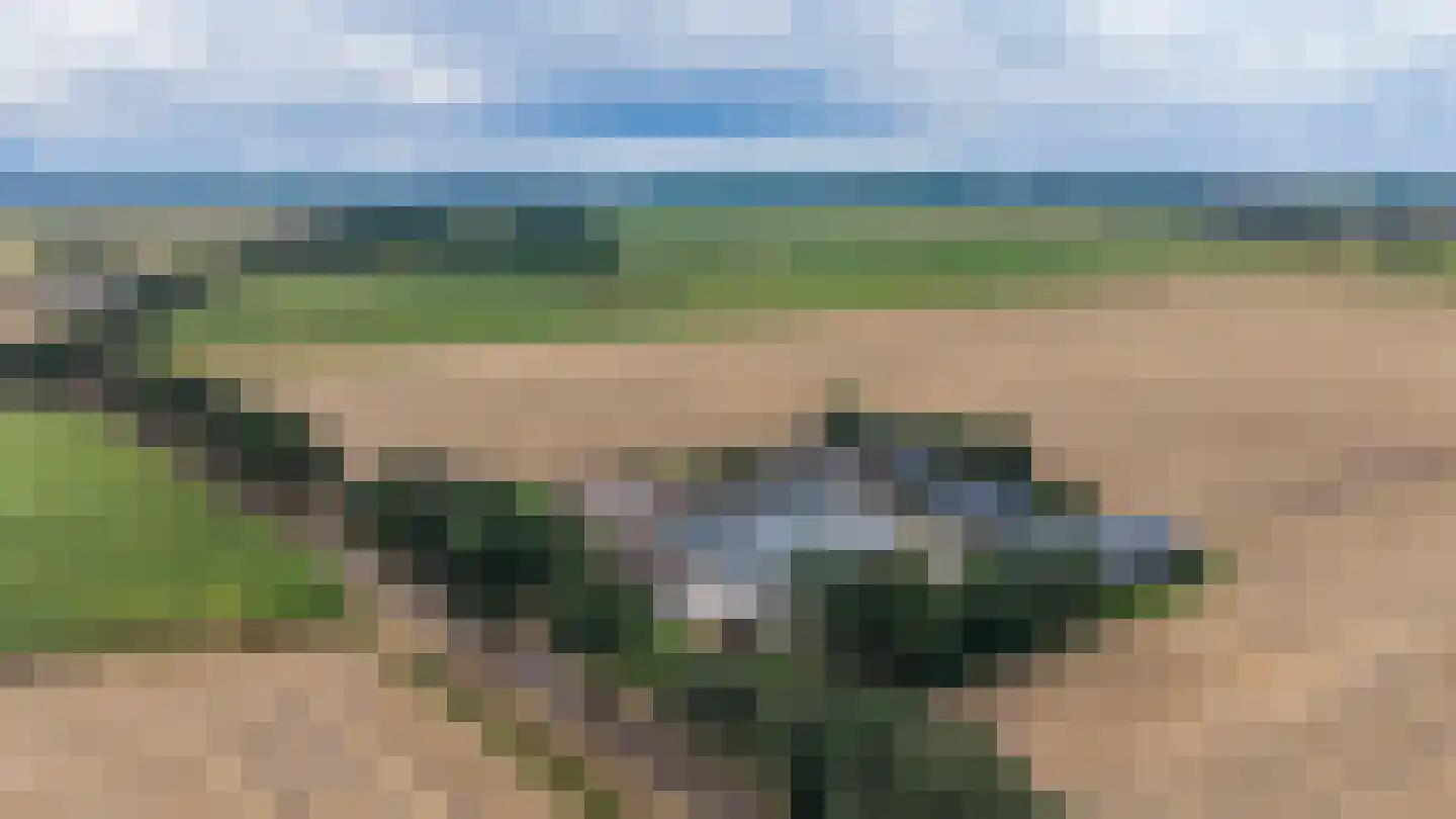 Kopstukken 56 Mussel thumbnail 5