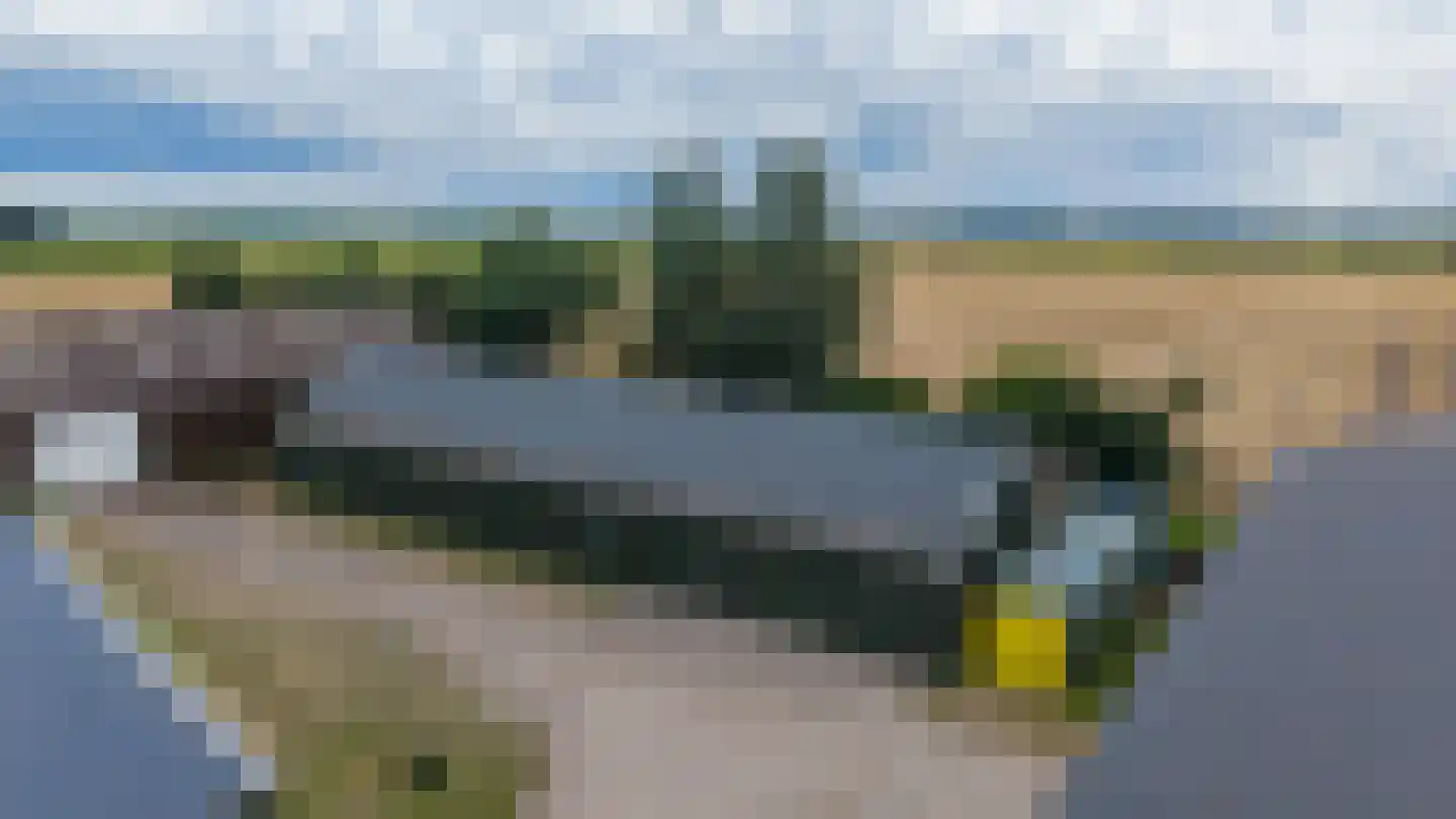 Kopstukken 56 Mussel thumbnail 8