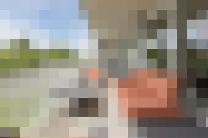 Koraal 102 Heerhugowaard thumbnail 10