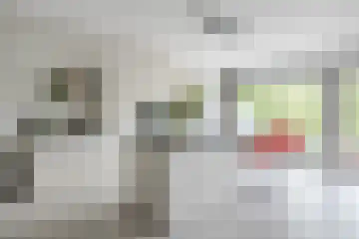 Koraal 102 Heerhugowaard thumbnail 12