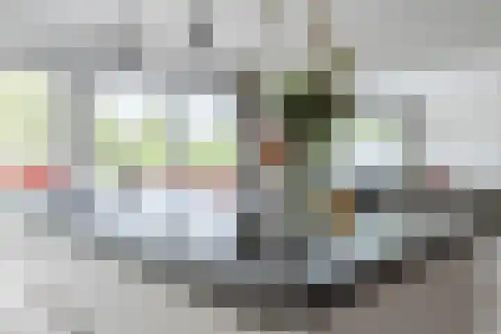 Koraal 102 Heerhugowaard thumbnail 17