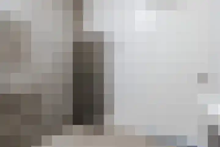 Koraal 102 Heerhugowaard thumbnail 26