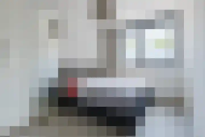 Koraal 102 Heerhugowaard thumbnail 28