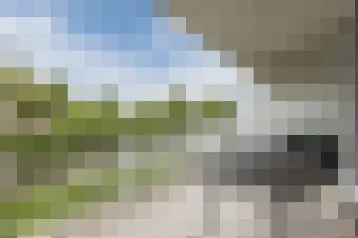 Koraal 102 Heerhugowaard thumbnail 34