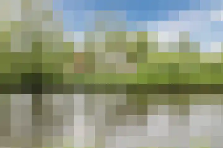 Koraal 102 Heerhugowaard thumbnail 36