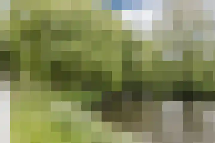 Koraal 102 Heerhugowaard thumbnail 37