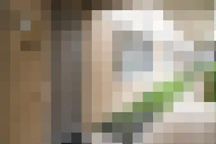Koraal 102 Heerhugowaard thumbnail 38