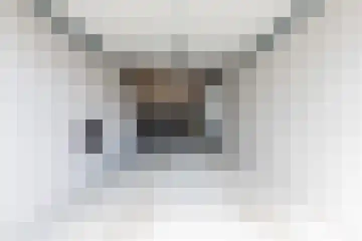 Koraal 102 Heerhugowaard thumbnail 42