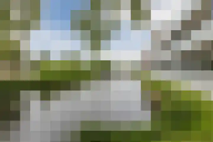 Koraal 102 Heerhugowaard thumbnail 46