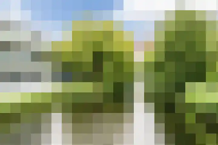 Koraal 102 Heerhugowaard thumbnail 47
