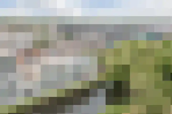 Koraal 102 Heerhugowaard thumbnail 49