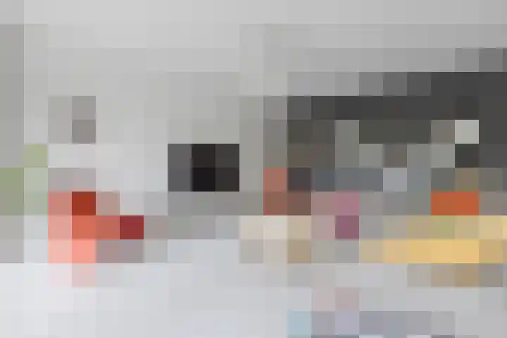 Koraal 102 Heerhugowaard thumbnail 7