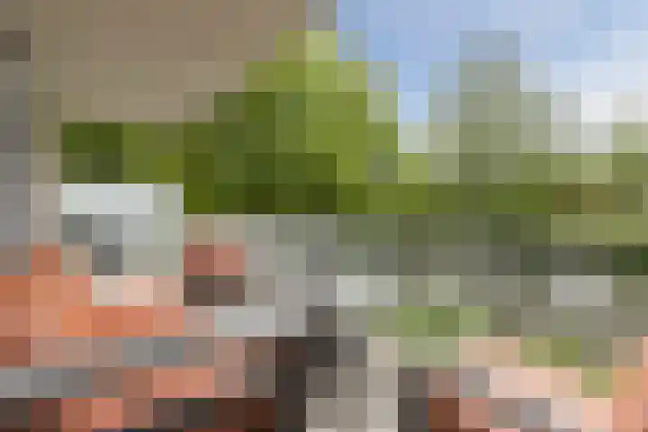 Koraal 102 Heerhugowaard thumbnail 9