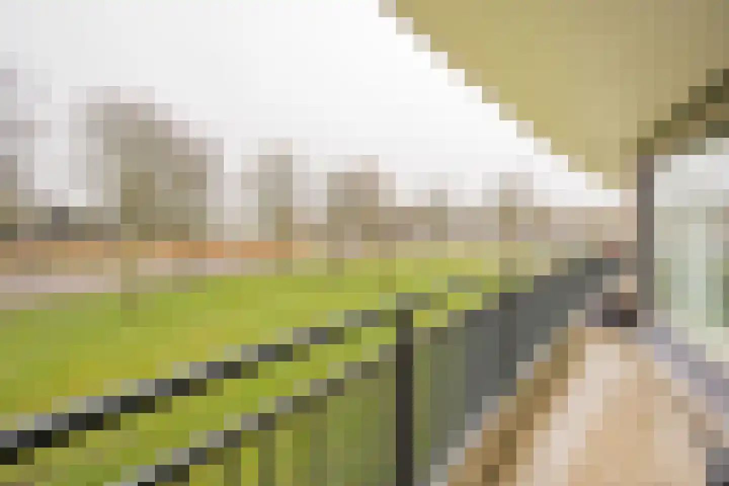 Koraal 126 Zeewolde thumbnail 12