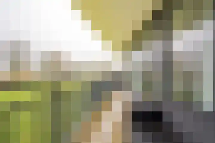Koraal 126 Zeewolde thumbnail 13