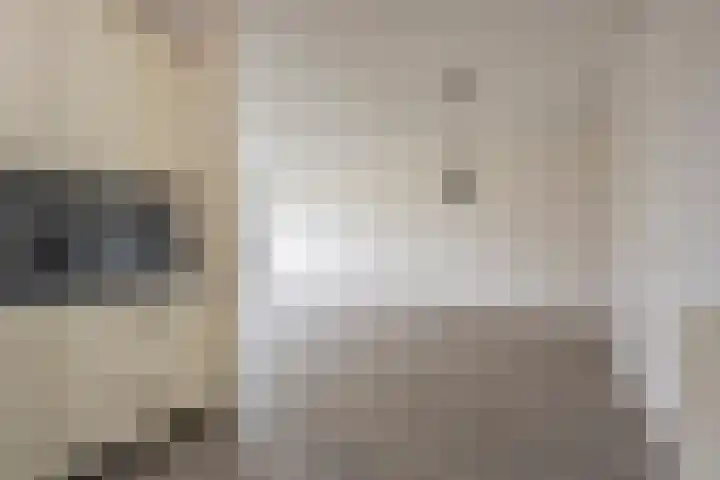Koraal 126 Zeewolde thumbnail 19