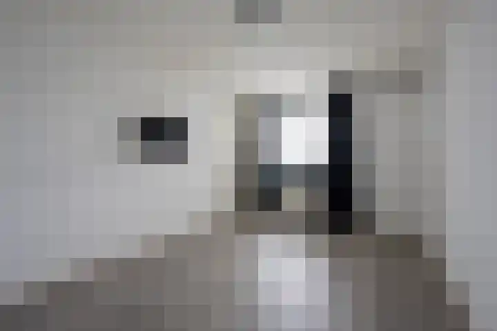 Koraal 126 Zeewolde thumbnail 22