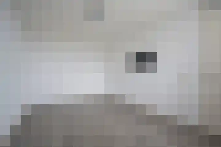 Koraal 126 Zeewolde thumbnail 23