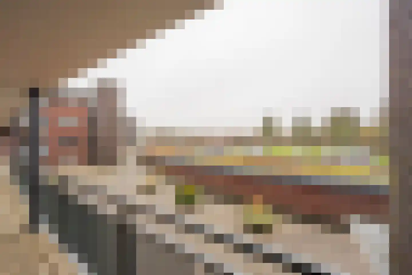 Koraal 126 Zeewolde thumbnail 29