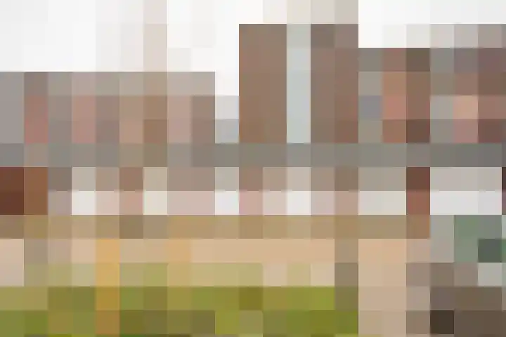 Koraal 126 Zeewolde thumbnail 33