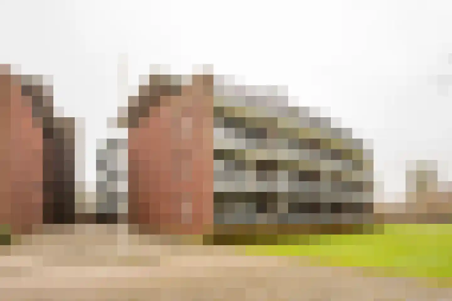 Koraal 126 Zeewolde thumbnail 35
