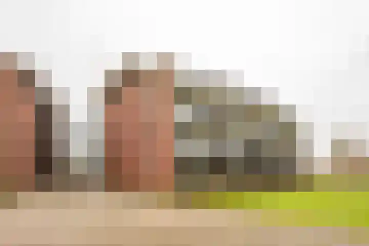 Koraal 126 Zeewolde thumbnail 35