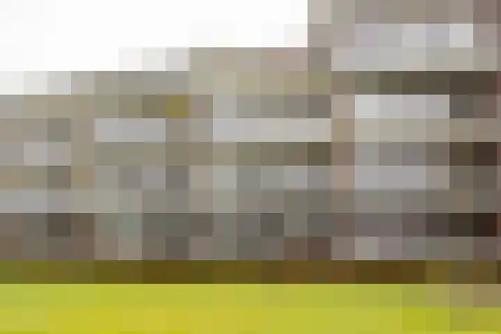 Koraal 126 Zeewolde thumbnail 36