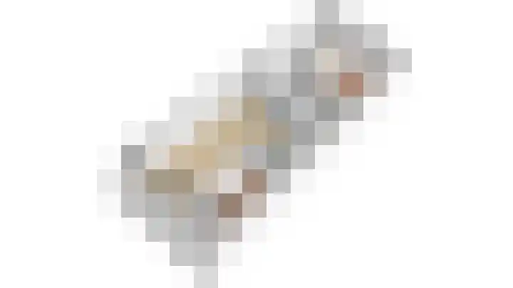 Koraal 126 Zeewolde thumbnail 38