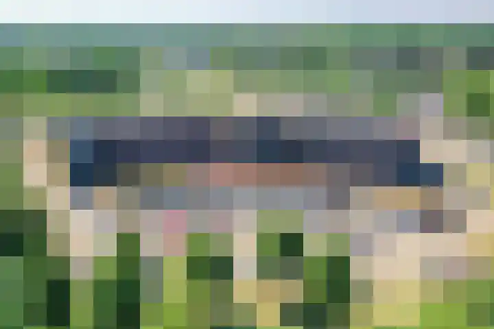 Koraal 130 Zeewolde thumbnail 16
