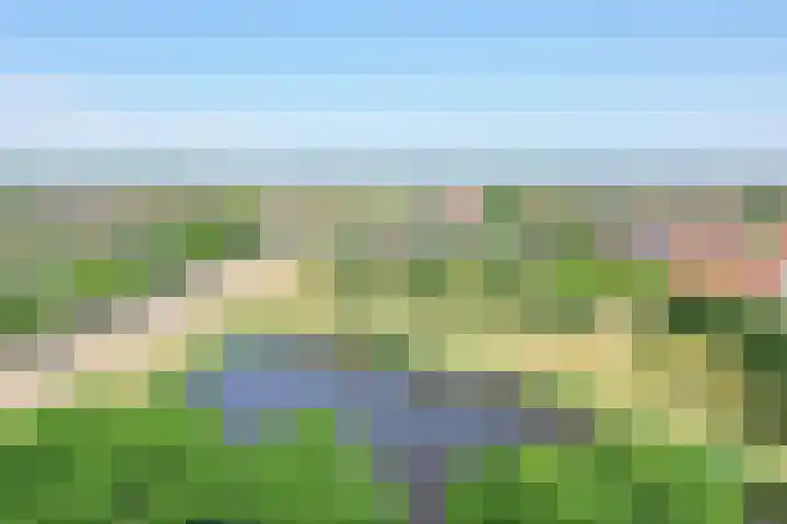 Koraal 130 Zeewolde thumbnail 27