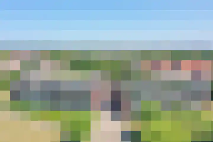 Koraal 130 Zeewolde thumbnail 29