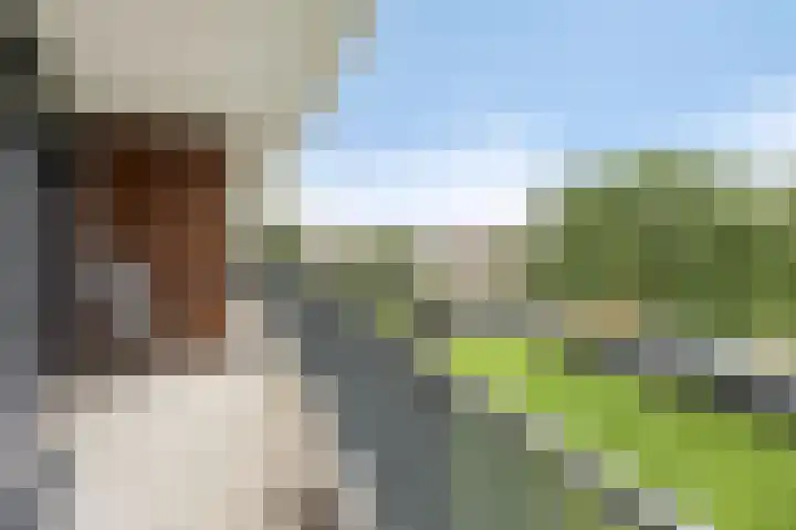 Koraal 142 Zeewolde thumbnail 14