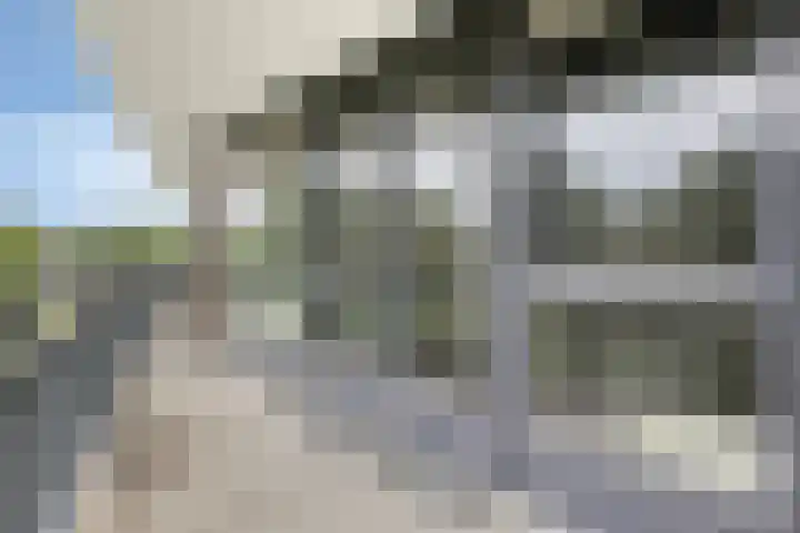 Koraal 142 Zeewolde thumbnail 15
