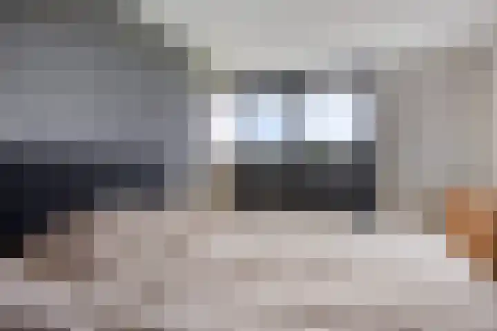Koraal 142 Zeewolde thumbnail 16