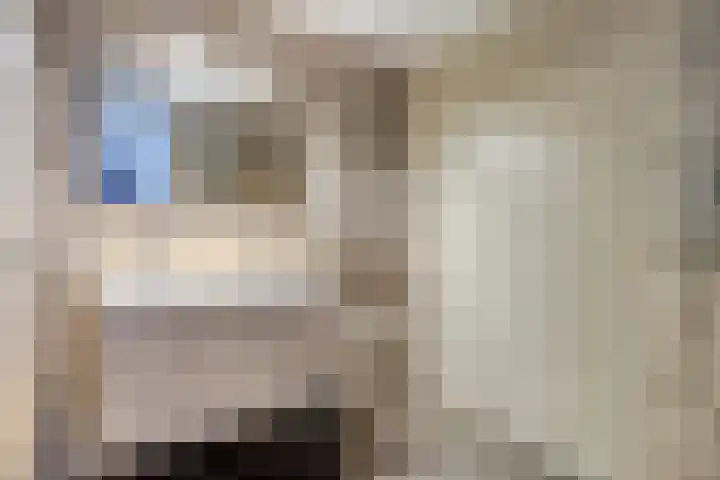 Koraal 142 Zeewolde thumbnail 18