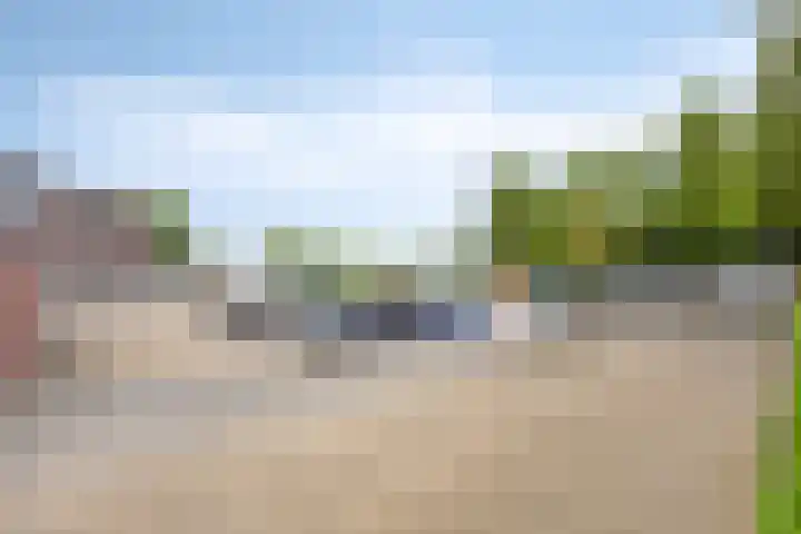 Koraal 142 Zeewolde thumbnail 21