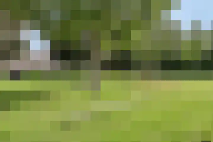 Koraal 142 Zeewolde thumbnail 24