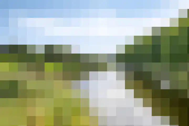 Koraal 142 Zeewolde thumbnail 25