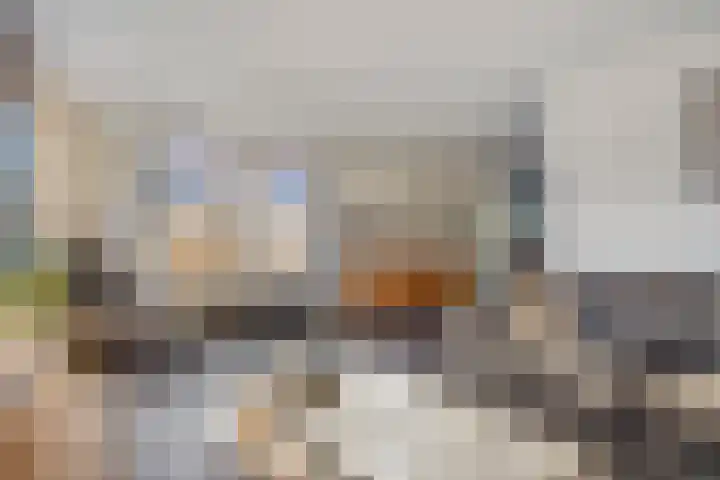 Koraal 17 IJsselmuiden thumbnail 11