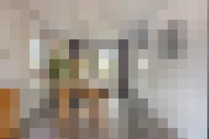 Koraal 17 IJsselmuiden thumbnail 13