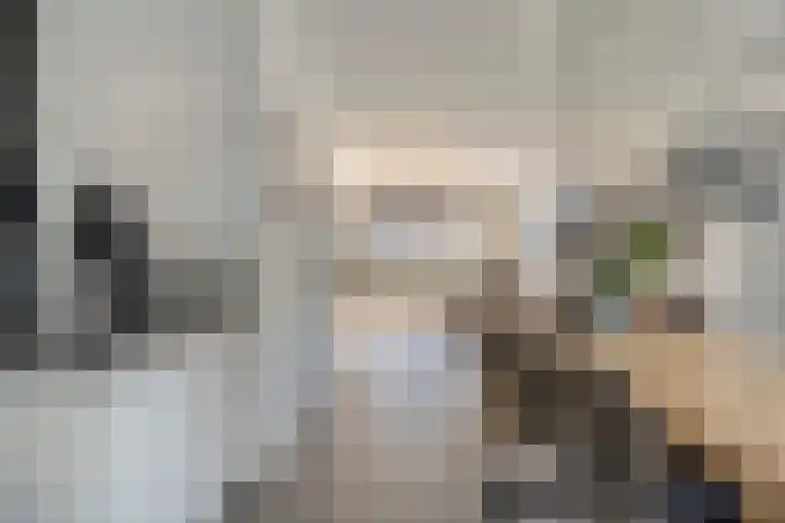 Koraal 17 IJsselmuiden thumbnail 14